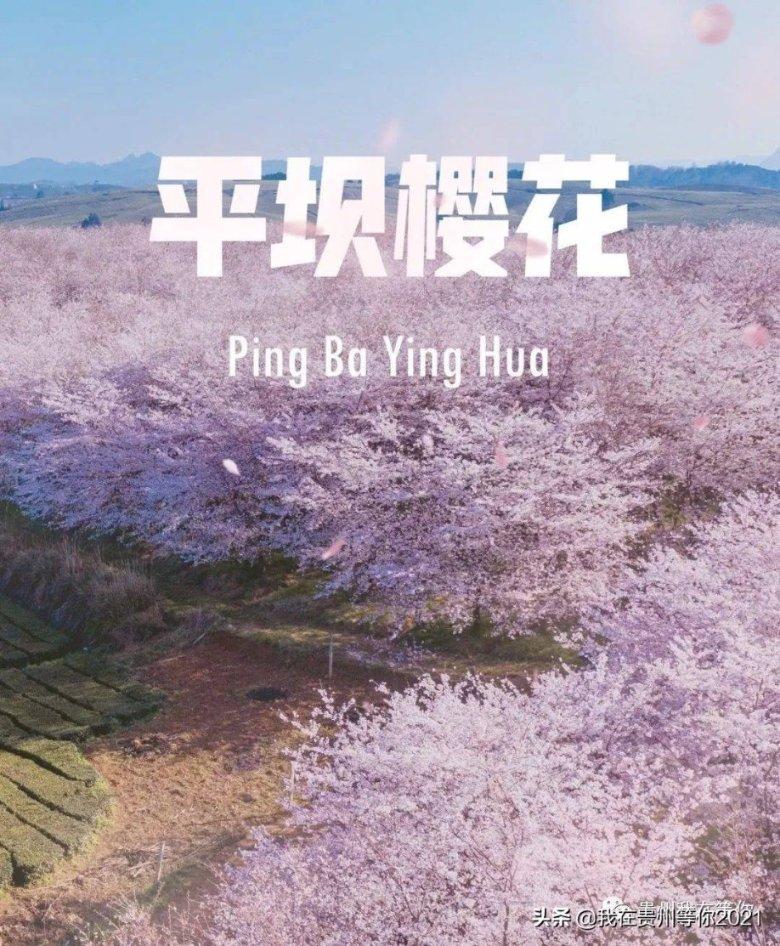 救援卡通小象